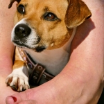 Программы лояльности казино с бездепозитными бонусами