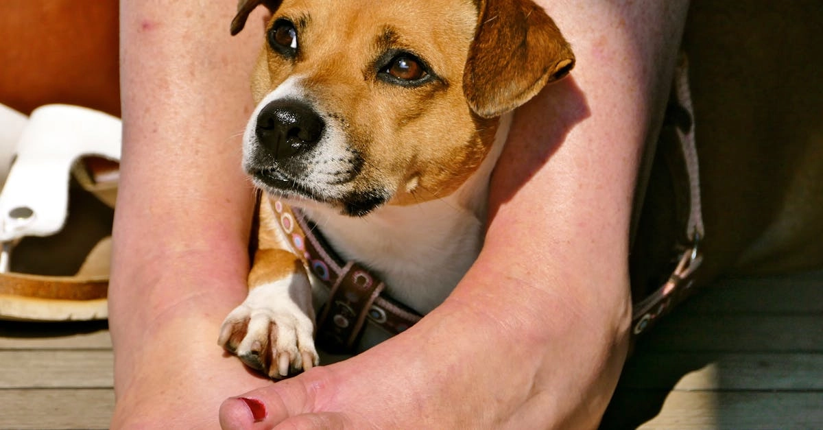 Программы лояльности казино с бездепозитными бонусами